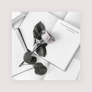 海棠威客楼凤论坛
